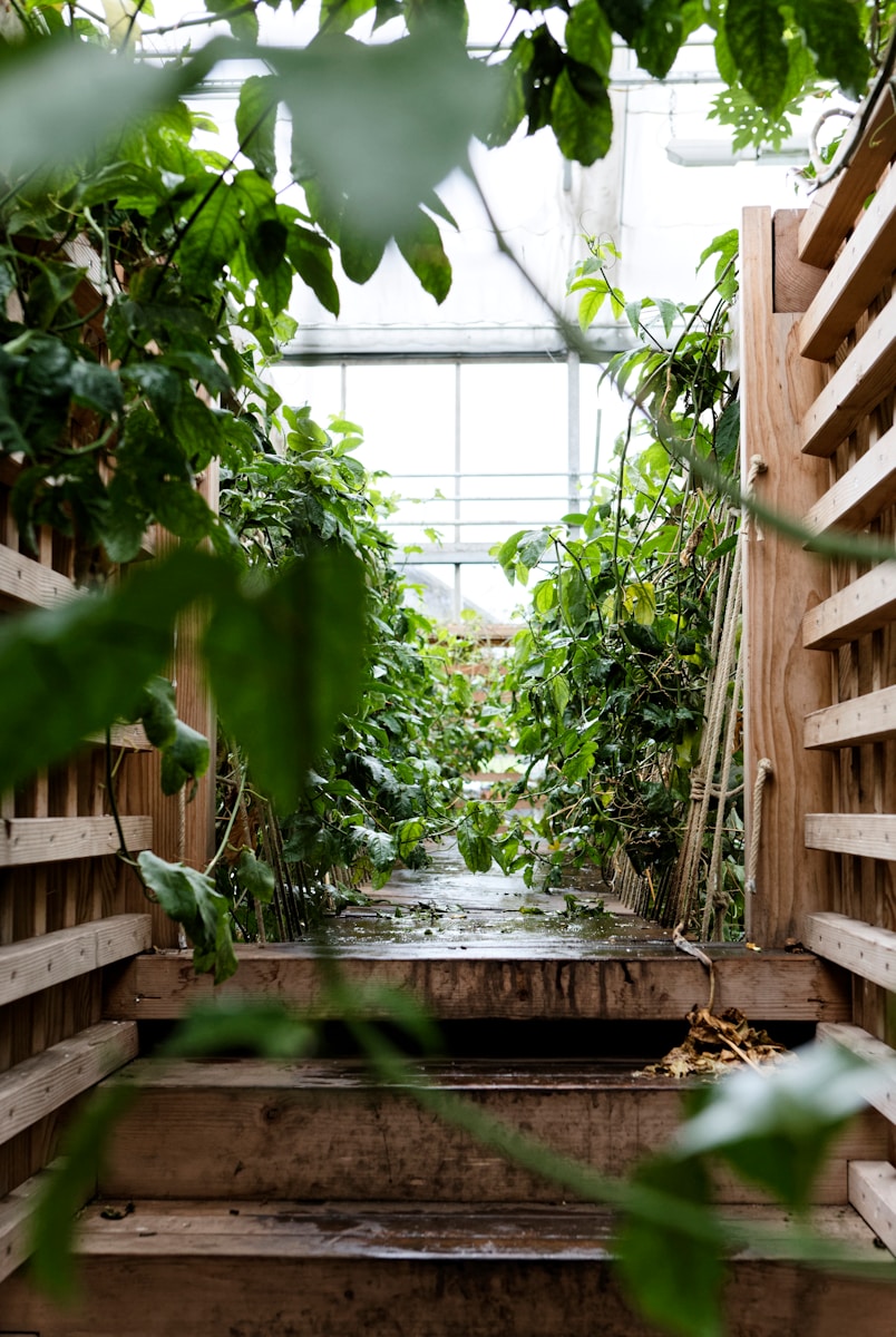 The Rise of Indoor Vertical Gardens: Which One Is Worth Your Time (and Cash)?