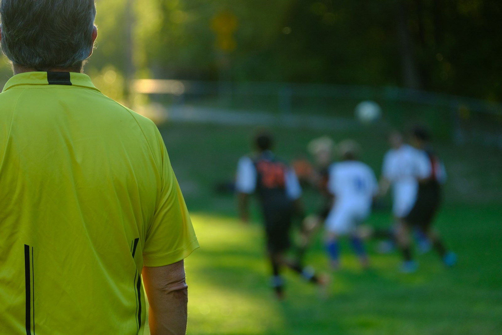 Is Hibbett Sports Legit? A Simple, Trustworthy Guide For All Of Us