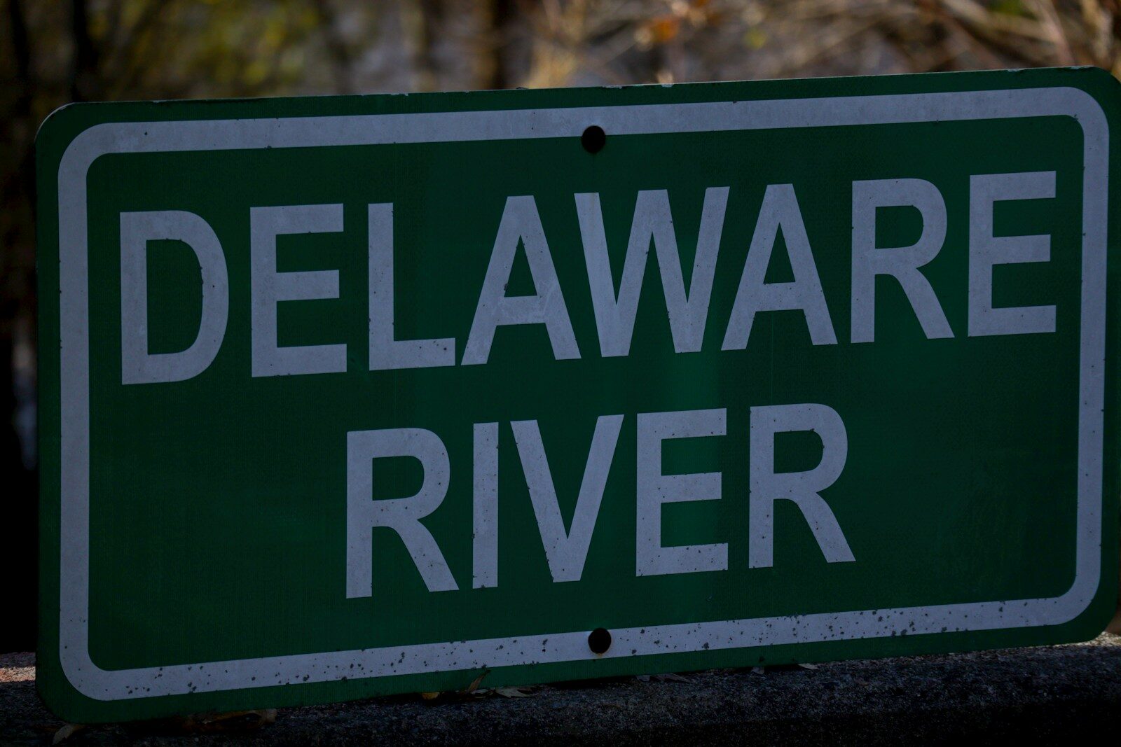 How to Start an LLC in Delaware: A Simple Guide for 2026