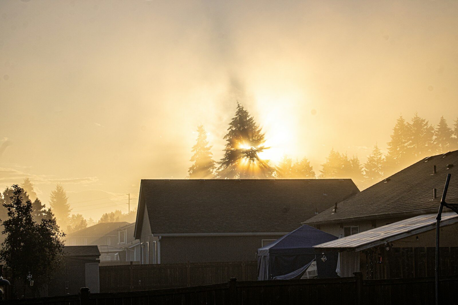 Washington Wildfire Insurance 2026: What Risk Scores Could Mean for Homeowners