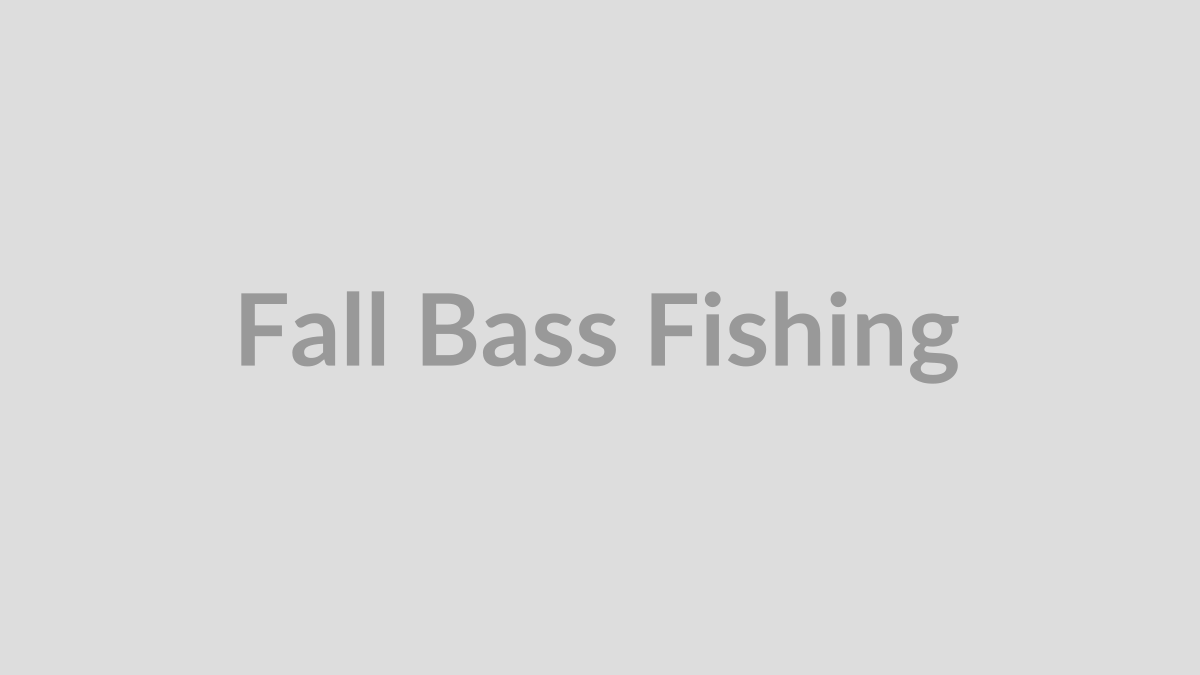 Bass fishing scene for a practical guide to finding bass as water temperatures cool in fall